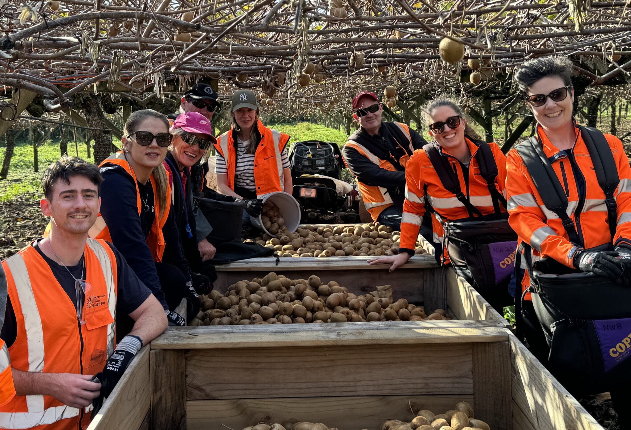 Our Impact | Food Waste Stats | NZ Food Network
