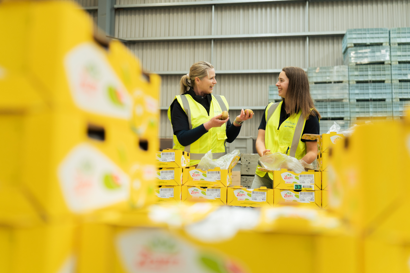 2610 - NZFN Zespri Web Story 03
