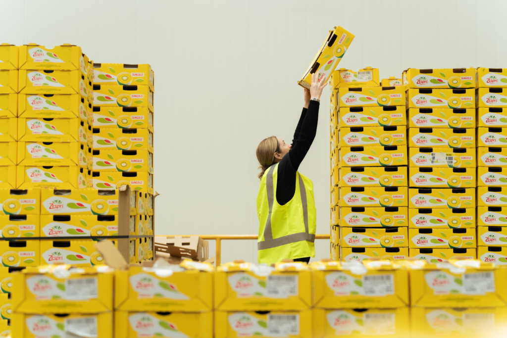 2610 - NZFN Zespri Web Story 05